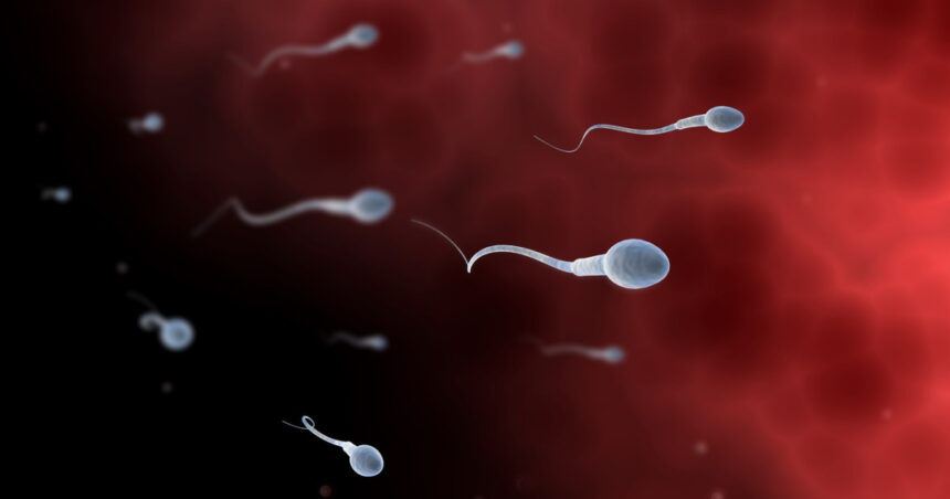 video concurs inedit organizat de adolescenti din los angeles care vor sa atraga atentia asupra problemelor de fertilitate masculina 680f020f67e85