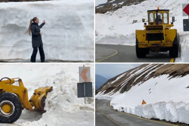 video deszapezirea pe transalpina continua imagini cu troienele de pe marginea soselei care ating chiar si doi metri inaltime 6809e6432a176