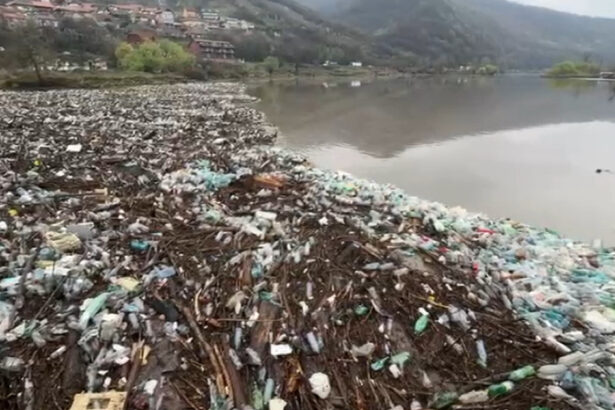 video dunarea sufocata de gunoaie tone de deseuri aduse de viitura la orsova autoritatile intervin cu utilaje grele 67ebbe95085b6