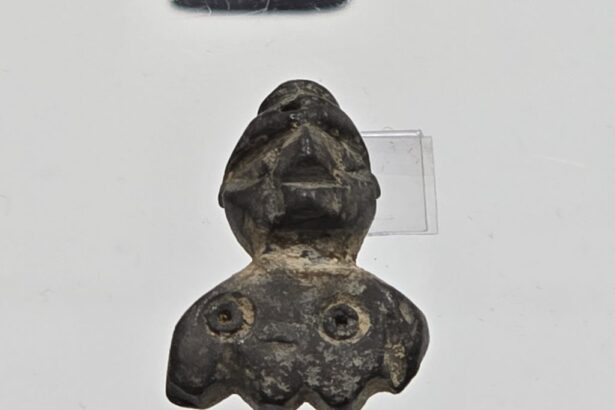 video fereastra catre credintele antice amuleta rara din carbune descoperita intr un mormant de copil in necropola tomisului 67f5ed59e1a5c