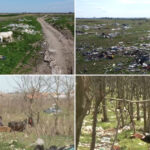 video imagini revoltatoare hectare intregi de pasune si padure transformate in groapa de gunoi ce sa facem vine omul si le arunca 67f74e181c5e0