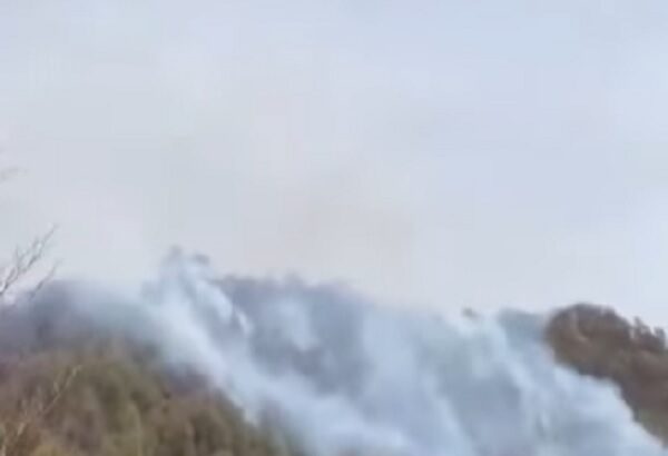 video incendiul de amploare dintr o padure din arges nestins nici dupa 24 ore a fost chemat si un elicopter black hawk 6803656b95e58