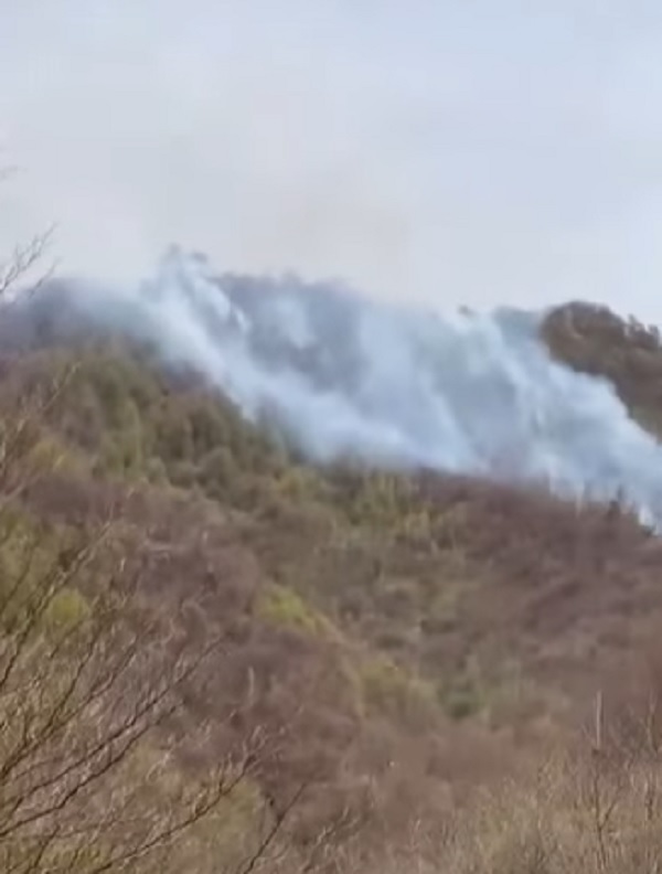 video incendiul de amploare dintr o padure din arges nestins nici dupa 24 ore a fost chemat si un elicopter black hawk 6803656b95e58