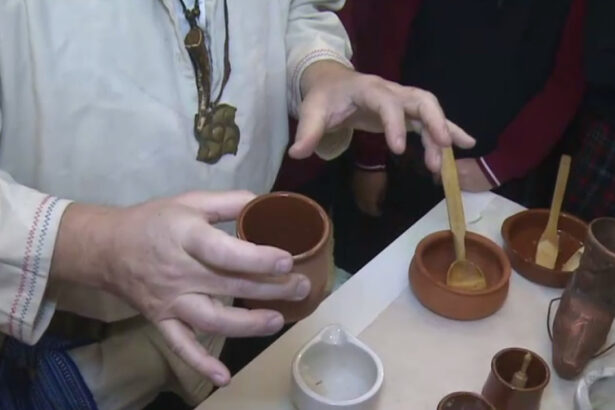 video leacuri dacice si demonstratii de farmacie straveche cu plante medicinale pot fi vazute la muzeul din arad 67f1863e02f18