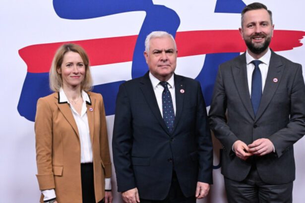 video ministrul angel tilvar despre strategia europeana pentru aparare e nevoie de consolidarea urgenta a statelor membre 67f0d702051be
