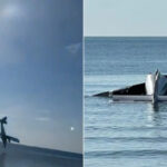 video momentul in care un avion al politiei thailandeze se prabuseste in mare sase persoane au murit 680bef2dce4ca