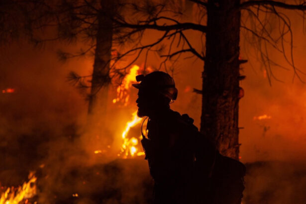 video stare de urgenta in statul american new jersey peste 3 000 de oameni evacuati din cauza unui incendiu de vegetatie 6809215db34bb