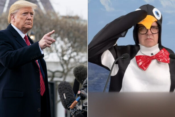 video tarifele impuse de trump unui teritoriu locuit doar de pinguini au starnit glume online suntem pasari in smoching nu mai trancani 67f0ebfb239f5