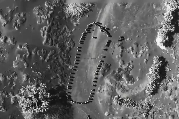 video trump a publicat un videoclip in care mai multe persoane sunt lovite de o explozie in yemen oops acesti houthi nu vor mai ataca 67f0d34be49cf