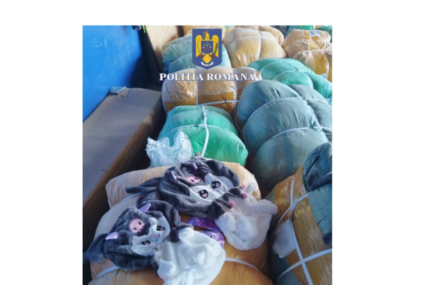 video un container cu bunuri contrafacute in valoare de 2 milioane de lei descoperit in portul constanta 6800fe17c1554