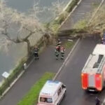 video un copac a cazut peste o masina pe un bulevard intens circulat din capitala 67f7effbc32f5