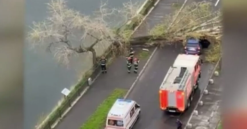video un copac a cazut peste o masina pe un bulevard intens circulat din capitala 67f7effbc32f5