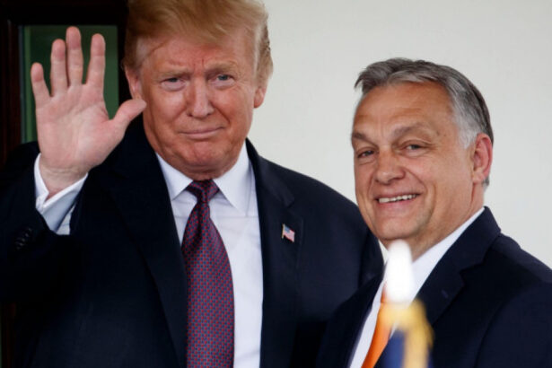 viktor orban apara tarifele impuse de trump si sustine ca este o chestiune de tactica politica si va dura doar una sau doua luni 67f8dc62e4fe1