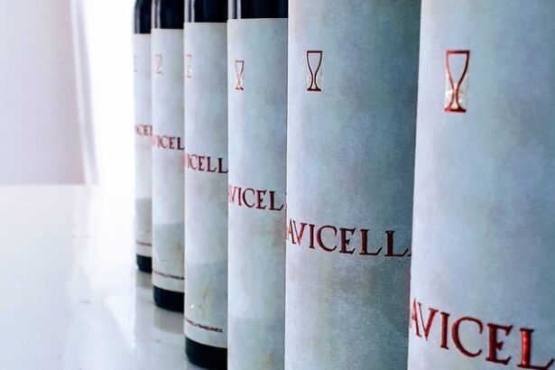 vinul zilei un cupaj cu note de fructe rosii condimente textura catifelata si o aciditate proaspata savuros alaturi de carne de miel pui vita sau branzeturi 680b279973b69