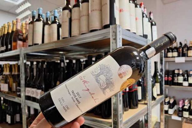 vinul zilei un cupaj rosu nonconformist obtinut din feteasca neagra shiraz si cabernet franc arome intense de fructe rosii prune afumate si caise carora li se adauga pe palat note de visine si c 68033efddfcb1