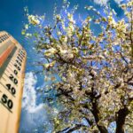 vremea se incalzeste dupa valul de frig sunt asteptate temperaturi de pana la 20 de grade 67fb90700bb43