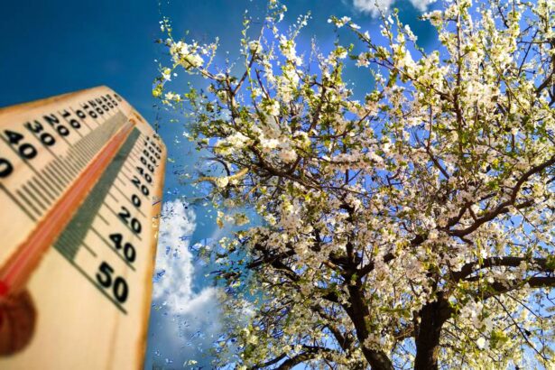 vremea se incalzeste dupa valul de frig sunt asteptate temperaturi de pana la 20 de grade 67fb90700bb43