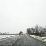 zapada mieilor se reintorc ninsorile si vijeliile in dobrogea 67f0cd2f34357