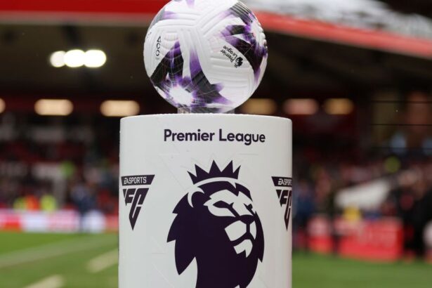 a fost desemnat jucatorul sezonului in premier league 6831dc84ed6d5