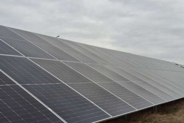 administratia locala va instala trei centrale fotovoltaice pentru iluminatul public 6813df2c9fb1e