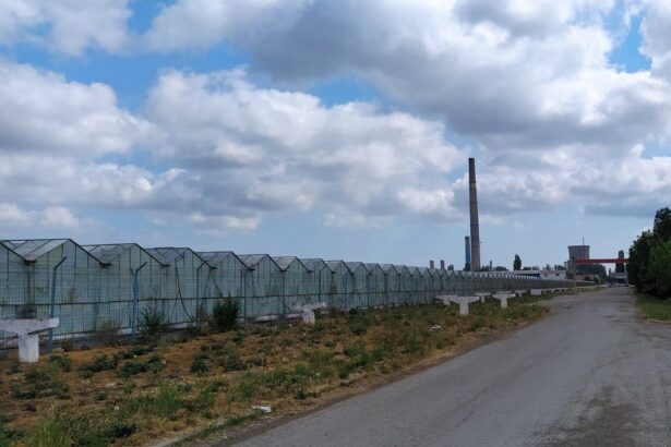 administratia locala vrea sa revitalizeze si zona agro industriala a municipiului dar se impotmoleste pe drum 68338a406a96f
