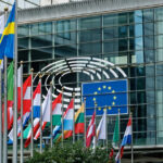 altercatie intre o eurodeputata suedeza de origine romana si o angajata de la un alt grup parlamentar care a fost motivul 682f6e6c30894
