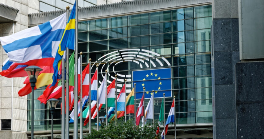 altercatie intre o eurodeputata suedeza de origine romana si o angajata de la un alt grup parlamentar care a fost motivul 682f6e6c30894