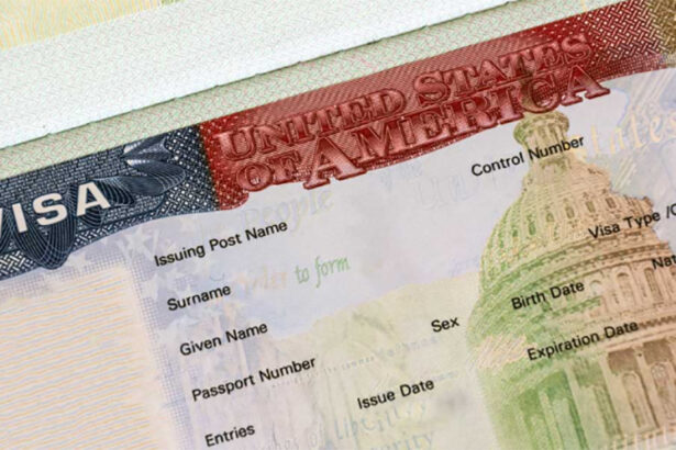 ambasada sua la bucuresti primul anunt dupa eliminarea romaniei din visa waiver imigratia ilegala pune presiune pe sistemul de sanatate 6815d34b60bb3