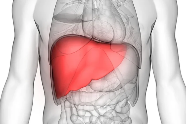 anumite proteine din sange pot anticipa boala hepatica chiar si cu 16 ani inainte de declansare 6815b722e74c8