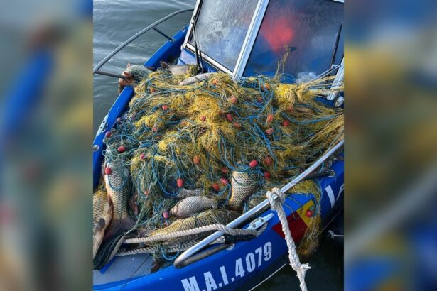 braconaj in delta dunarii pe lacurile bogdaproste si trei iezere iata ce a descoperit garda de coasta 6818b59534316