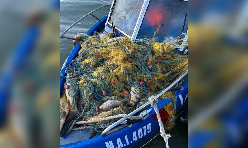 braconaj in delta dunarii pe lacurile bogdaproste si trei iezere iata ce a descoperit garda de coasta 6818b59534316