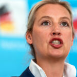 ce spune ministrul german de interne despre posibilitatea interzicerii partidului extremist afd 682cd275352a2
