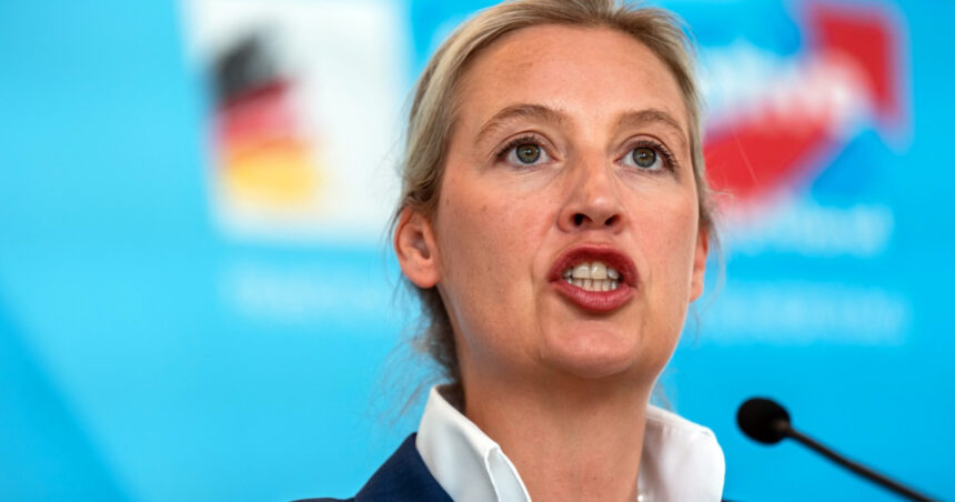 ce spune ministrul german de interne despre posibilitatea interzicerii partidului extremist afd 682cd275352a2