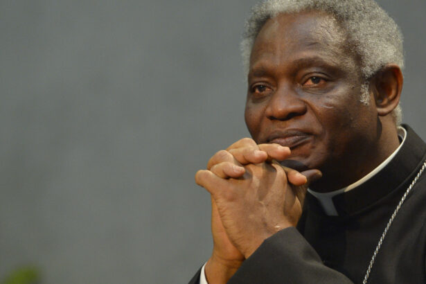 cine este cardinalul ghanez favorit pentru a deveni primul papa african s a aflat de doua ori la un pas de a obtine acest post 68131721dfb5c