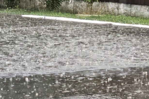 cod galben de ploi si vijelii in constanta si tulcea 6832e9469d209
