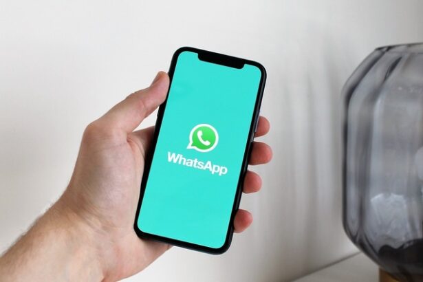 cum monitorizezi succesul unei campanii de trafic prin rapoartele din whatsapp business 682999c0b0a08
