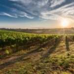 departamentul de stat al sua confirma anularea unui grant de 6 milioane de dolari pentru republica moldova 68359e0a35358