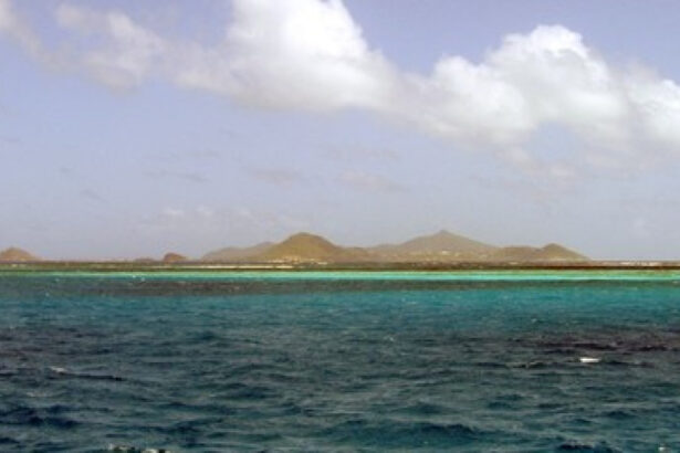 descoperire macabra in caraibe 11 cadavre aflate intr o stare avansata de descompunere au fost gasite intr o barca esuata 6836a849a8518