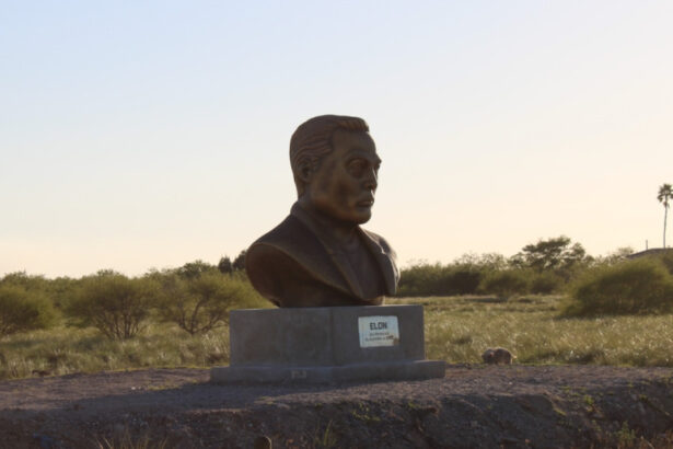 elon musk mai aproape de a detine orasul care i a ridicat statuie angajatii spacex din texas voteaza pentru starbase 68160066bcfc2