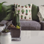 factorii care afecteaza calitatea aerului din casa ta si cum sa ii controlezi 682eda2d260b5