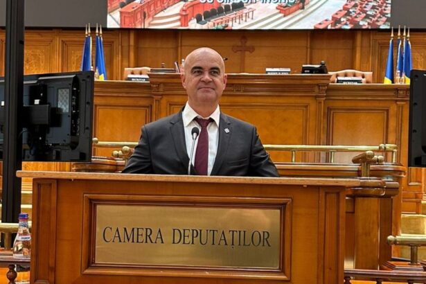 faget s o s romania dezamagit de ciorba reincalzita cu impozitarea progresiva propusa de psd un santaj politic 68371817e57cc