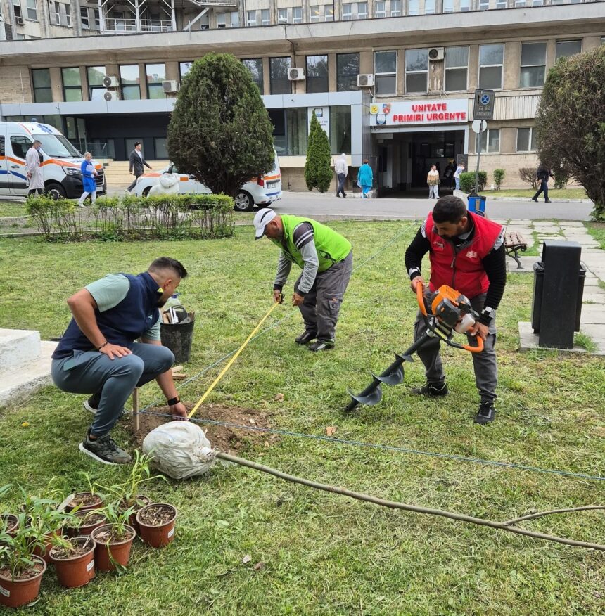 foto asociatia act for tomorrow amenajeaza zilele acestea spatiul verde din curtea spitalului judetean constanta 682767e5b87ad