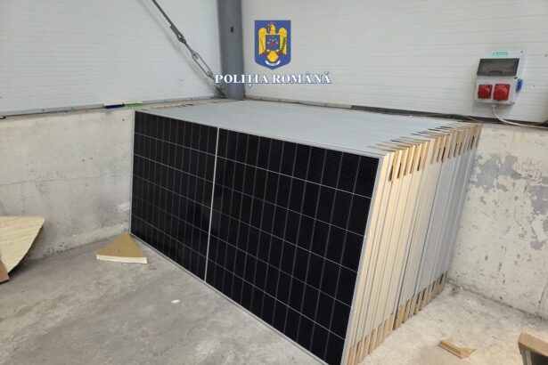 foto politistii au rascolit judetul perchezitii in constanta ovidiu lumina si nicolae balcescu intr un dosar cu prejudiciu de aproape 320 000 de euro 681b40c03f173