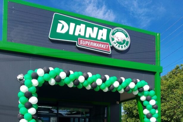 foto reteaua diana se extinde si deschide un nou magazin in judetul dambovita 683065f788c3a