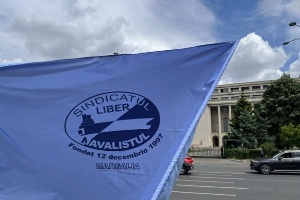 foto sindicalistii de la damen mangalia protesteaza in bucuresti 200 de oameni isi cer dreptul la munca 681dea16abeae