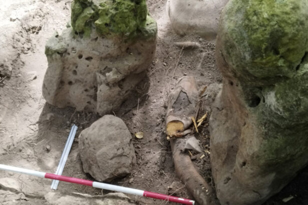 foto un complex mayas vechi de aproape 3 000 de ani cu piramide si canale a fost descoperit in guatemala 683a87165b718