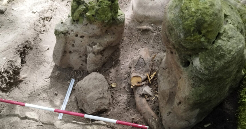 foto un complex mayas vechi de aproape 3 000 de ani cu piramide si canale a fost descoperit in guatemala 683a87165b718