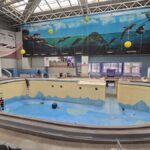 foto video de ce nu poate fi deschis inca delfinariul din constanta danut dinca directorul cmsn vesti bune despre momentul cand vor avea loc primele spectacole 681b9b623c22a