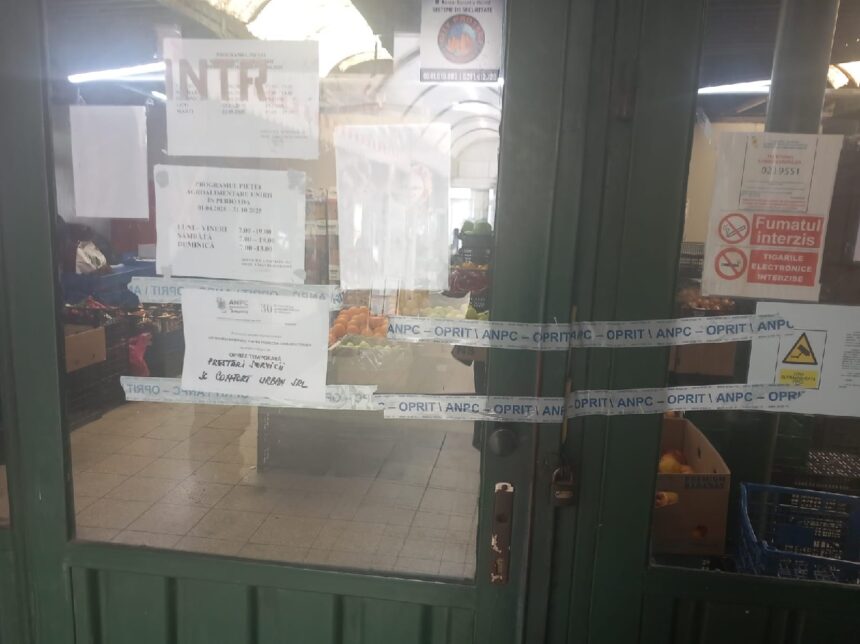 foto video piata unirii din constanta inchisa de protectia consumatorilor mai multe pisici sunt tinute noaptea in interior pentru a prinde sobolanii 681ded91a685e