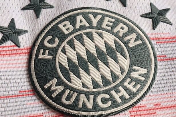 galerie foto spectaculos bayern munchen si a prezentat noul echipament imediat dupa ce a castigat titlul 6818712b67f1d